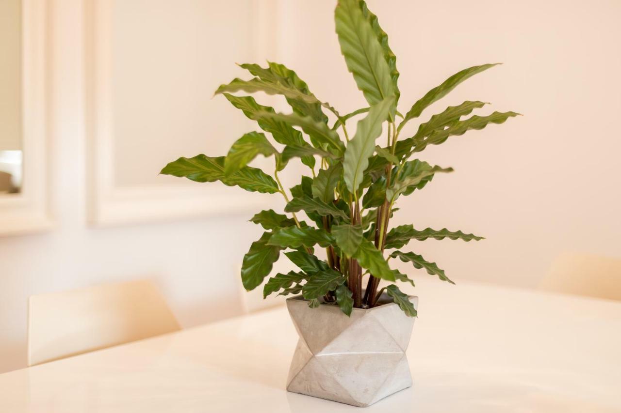 Alfama Modern Two-Bedroom Apartment W/ River View And Parking - By Lu Holidays Lisboa エクステリア 写真